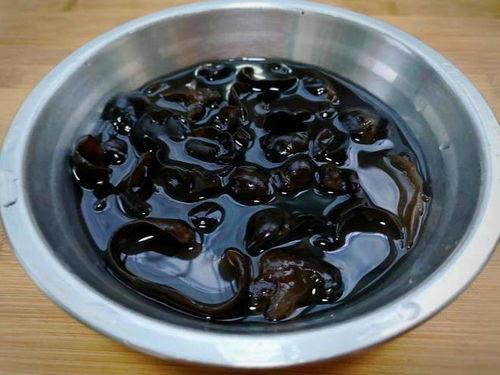 黑瓜吃料正能量2往期内容,回顾往期精彩，传递积极力量