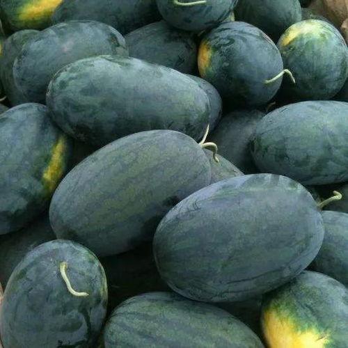 姐弟吃瓜黑料,真相与谣言的交织